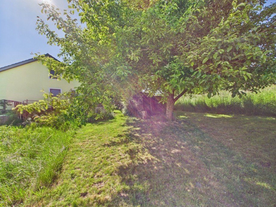 Garten (4) Einfamilienhaus Riedlingen / Pflummern