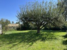 Garten **Nach 16 Wochen verkauft!** Gro�z�gige Doppelhaush�lfte mit sonnigem Garten in ruhiger Lage von Babenhausen!